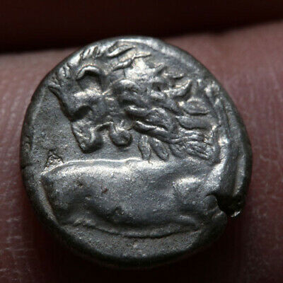 Some-Chersonesos-Hemidrachms-Being-Auctioned